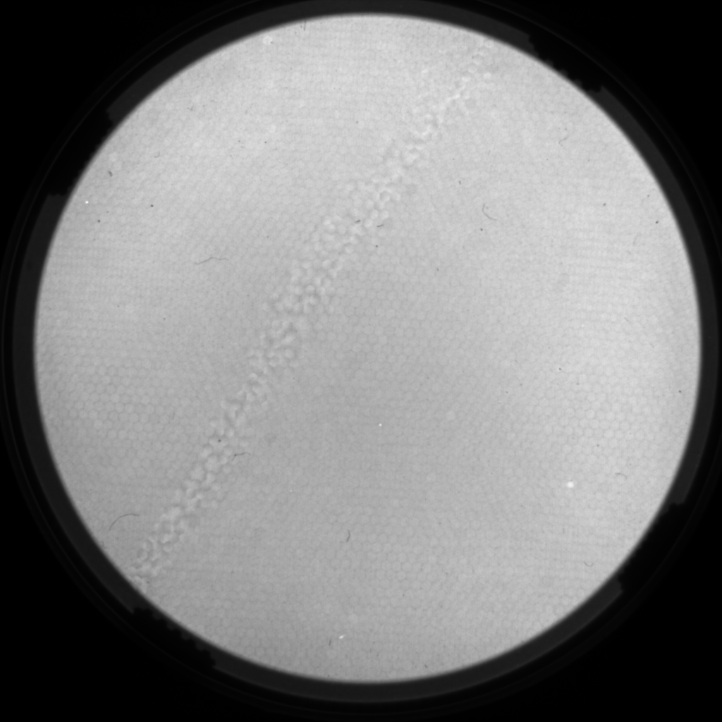 ../_images/examples_xmcd_processing_4_0.png